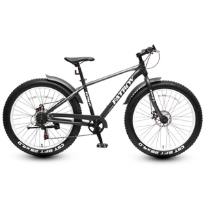 Venta caliente deportes el Fatboy <span class=keywords><strong>elcykel</strong></span> eléctrico Fat bike híbrido scooter motocicleta para hombres - Product Image 5