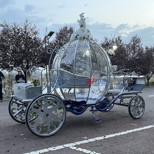 Carruaje de Boda Eléctrico Plateado Transparente de Lujo con Adornos Florales - Product Image 4