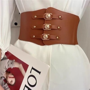 <span class=keywords><strong>Ceinture</strong></span> de taille élastique tendance pour femmes européennes et américaines, <span class=keywords><strong>large</strong></span> de 10 cm, boucle en alliage, longueur de 68 cm, mode transfrontalière, décoration de robe - Product Image 2