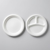 Assiettes rondes jetables en plastique PP de qualité alimentaire, épaisses et blanches, pour collations, barbecues, buffets, plateaux de fruits, pique-niques, nouilles