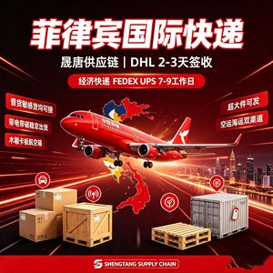 Expédition de fret aux Philippines, logistique internationale, DHL Express, Shenzhen, produits électroniques, ligne dédiée transfrontalière - Product Image 4