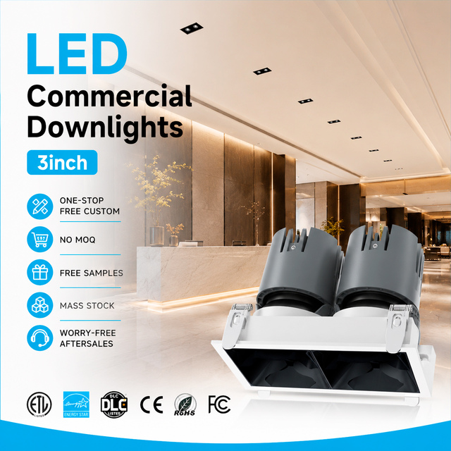 Double Heads LED Downlight Adjustable Indoor LED Spotlight CRI90 5CCT Dimmable Spot Light for Home Office