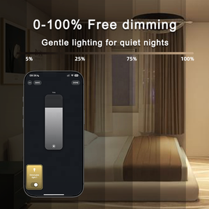 Boîtier numérique intelligent Zigbee Bilihondim, variateur 1 canal 200W DMX512 sans fil, portée 30m, compatible Google Assistant, installation facile - Product Image 3