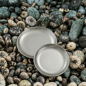 จานไทเทเนียมบริสุทธิ์ คุณภาพพรีเมียม เป็นมิตรกับสิ่งแวดล้อม ทนทาน เกรดอาหาร เหมาะสำหรับใช้ในครัว รับประทานอาหาร และกิจกรรมกลางแจ้ง - Product Image 3