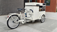 Chariot portatif de crème glacée de café tricycle pliable chariot extérieur mobile de kiosque de vente facile à déplacer