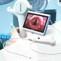 Câble USB BESDATA, bronchoscope flexible, rhinolaryngoscope électrique en plastique à fibres optiques, réutilisable et jetable, En Rhp
