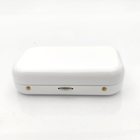 Mini boîte en métal de poche, blanche et rose, personnalisable avec logo, étui de rangement portable pour cigarettes, conteneur de stockage