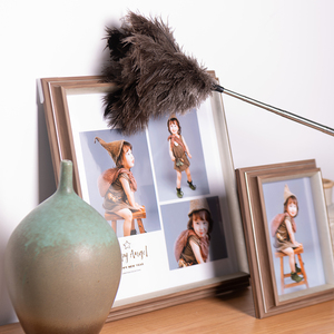 <span class=keywords><strong>Plumeau</strong></span> télescopique en plumes d'autruche pour le nettoyage domestique, <span class=keywords><strong>plumeau</strong></span> en plumes d'autruche pour le dépoussiérage des plafonds et des meubles - Product Image 2