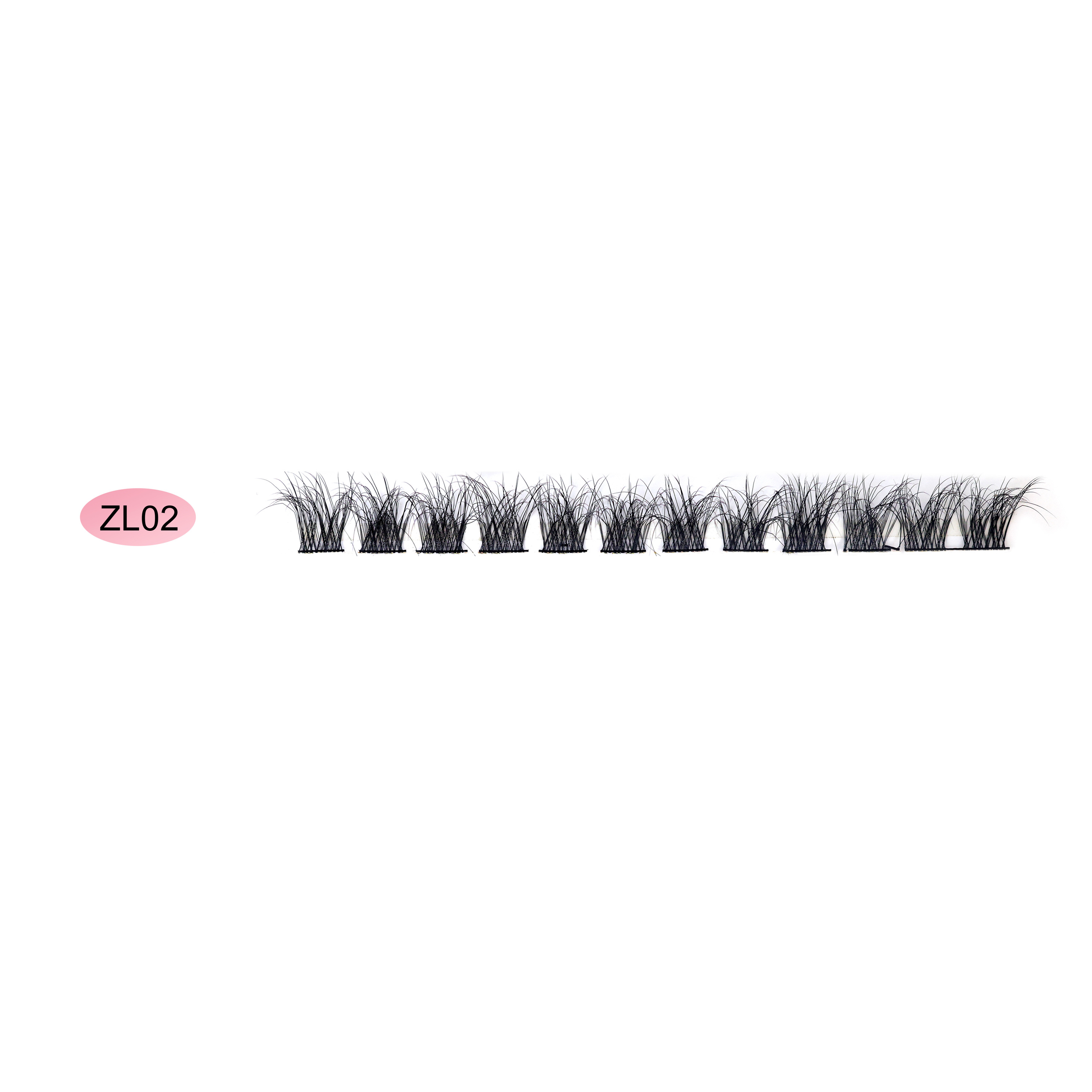 ZL02