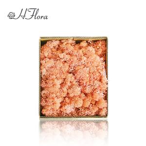 HFloral Vente en Gros – Boîte de 200g de Panneaux de Mousse Éternelle Verte Préservée pour Décoration Murale de Restaurant et Hôtel, Saint-Valentin, Longue Durée (3-5 ans) - Product Image 4