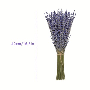 G178 Vente en gros de fleurs de lavande séchées, naturelles et éternelles pour la décoration de salle de bain et la décoration de la maison - Product Image 2