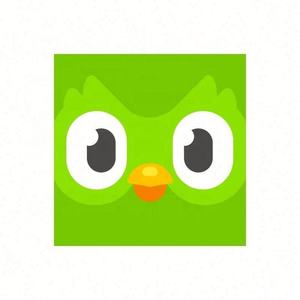 Cuenta Premium de Duolingo Pro, 1 Año, Aplicable Globalmente, Activa Tu Propia Cuenta - Product Image 4