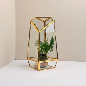 Terrario Geométrico de Vidrio Estilo Vintage Dorado Irregular para Plantas Suculentas de Mesa - Product Image 6