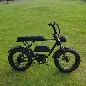 Hot bán Ebike chéo Mens chuyển đổi Kit 1000