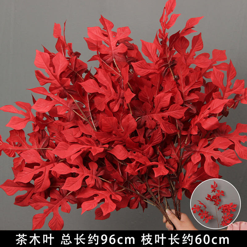 Red Tea Tree Leaves/Stems