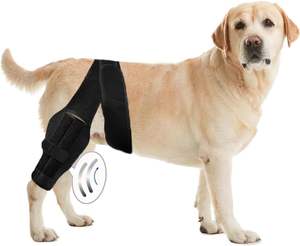 <span class=keywords><strong>Rodillera</strong></span> ajustable de ligamento cruzado canino más vendida, envoltura de soporte de rodilla, funda de pierna de Mascota de neopreno, <span class=keywords><strong>rodillera</strong></span> <span class=keywords><strong>para</strong></span> perro hecha de fibra - Product Image 1
