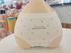 Thanh lịch hàng ngày phong cách tinh khiết bông của phụ nữ quần lót thân mật quần áo-Bán buôn - Product Image 2