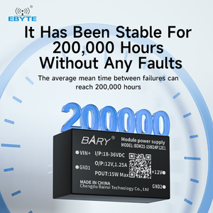 Ebyte ODM BDM21/41 DC-DC Isolated Power Supply Module PCB Gold Plating Process 1500VDC Industry Smart 9~36V RF Communication - Product Image 5