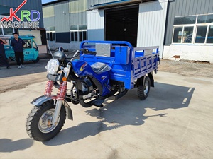 Tricycles et transporteurs de marchandises à essence les plus vendus pour le transport et le transfert de matériaux - Product Image 6
