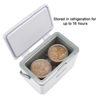 Glacière moderne 3L Cadeaux de Noël Glacière en plastique dur PU mousse pour camping extérieur pour 4 canettes de cola garder au froid