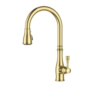 Hot Selling American Brushed Gold modern bathroom faucet hot cold water mixer tap pull out kitchen faucet spray