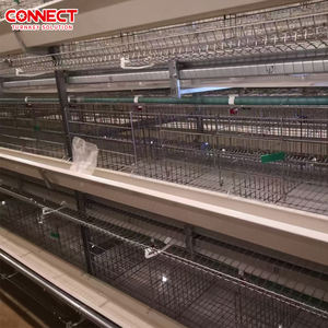 Sistema de Jaulas en Batería Tipo H para 50000 Aves de Corral, Alimentación Automática para Pollos de Engorde, Línea de Cría a Gran Escala - Product Image 3