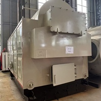 DZH Hand Charging Grate Struktur Ringkas Pembakaran Stabil Boiler Biomassa Mini