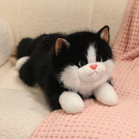 Jouets en peluche pour chat Ragdoll de haute qualité, super doux, rembourrés de coton PP, pour enfants, cadeaux ou promotion