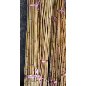 Mejor venta CH GLOBAL pequeño patrón de una sola capa muebles artesanías Material de caña de ratán Natural invernaderos agrícolas - Product Image 4