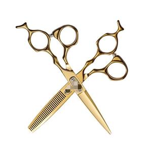 Hairdressing Scissors Set 6-Inch Stainless Steel Flat Shears Thinning Shears For Salon Hair Styling Tools - Product Image 1