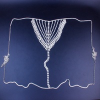 Cadena de Joyería Corporal de Moda para Mujeres y Niñas, con Cristales de Corazón Sexys, para Bikini con Aros y Tanga, Joyería de Tela para Club Nocturno