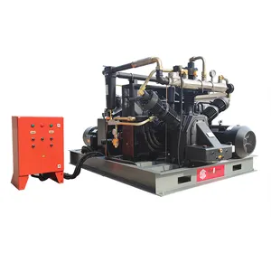 Cng Station Aardgas Booster Gecomprimeerd 40hp Schroef Compressor 100% Olie Gratis