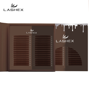 Xu Hướng Mới Mềm Hàn Quốc Pbt Sợi Màu Nâu Lông Mi Khay Màu Nâu Đen Nga Lông Mi Mở Rộng 0.02 0.05 Nâu Khối Lượng Lông Mi - Product Image 1