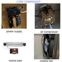 Générateur d'ozone en acier inoxydable 20g/g avec compresseur d'air intégré pour le traitement et la purification de l'eau