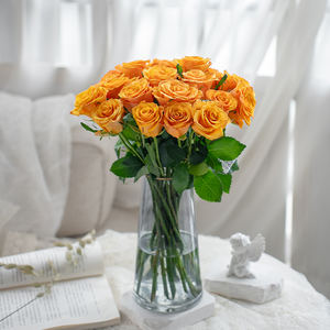 Atacado Personalizado Natural Único Veludo Rosas Fresco Corte Vermelho e Branco Fábrica Direto Flor Fornecimento - Product Image 5