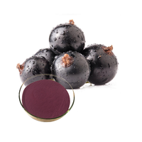 Voedzaam Wild Food Grade 100% Pure Zwarte Bes Fruit Extract Goed In Water Oplosbaar In Trommel & Plastic Container