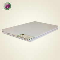 Paneles de Techo de PVC Blancos Impermeables para Decoración de Interiores, Paneles de Techo de PVC Ignífugos Personalizados de 8 mm para Salas de Reuniones