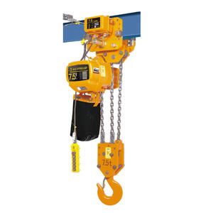 Palans électriques à chaîne 1 tonne 3 tonnes 5 tonnes Équipement de levage robuste pour usage industriel Remise en gros - Product Image 5