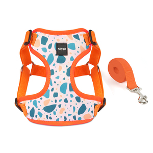 Wholesale <strong>Custom</strong> Made <strong>Dog</strong> Harness Vest Breathable Reflective Small Cat and <strong>Dog</strong> <strong>Leash</strong> Sporty Simple Style with <strong>Print</strong> Rower - Product Image 1