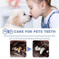 Dentifrice OEM personnalisé pour animaux de compagnie, produits de nettoyage pour chats et chiens, soin buccal et des gencives, prévention du tartre, dentifrice comestible pour chats