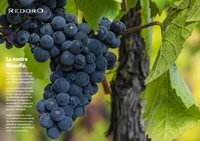 Vin rouge italien biologique Amarone Redoro LeVigne Valpollicella DOCG Valpantena 750cl GVERDI Selection Made Italy Vin rouge