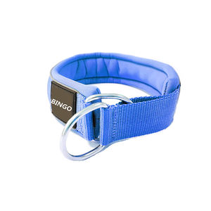 Hondenriem met neopreen voering in een aangepaste kleur - Product Image 2