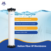 Membran Ultrafiltrasi UF Berkualitas Tinggi dari Cina, Membran Industri Ultrafiltrasi, Sistem UF Fluks Besar, Filter Membran UF Serat Berongga PVDF