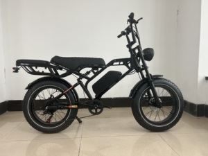 Vélo à pneus larges de 20 pouces, design personnalisé, moteur à disque mécanique 250W/48V/12Ah - Product Image 4