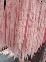 LE-500 Amarante séchée en gros, 60-100 cm, longue, à pampilles, fleur suspendue, Larmes de Saint-Valentin, fleur éternelle