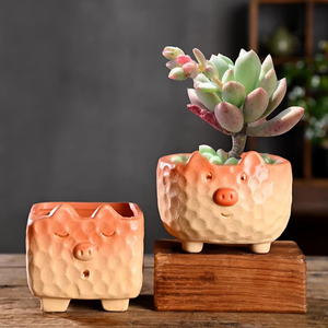 Pots à succulentes créatifs en céramique HY, motif animaux de dessin animé, en <span class=keywords><strong>terre</strong></span> <span class=keywords><strong>cuite</strong></span> spéciale pour usage domestique, contrôle des racines, vente de liquidation en gros - Product Image 1