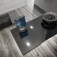 Appareil de cuisine en acier inoxydable tables de cuisson au gaz 2 brûleurs maison tenir bonne qualité haute puissance plaque de cuisson au gaz noir