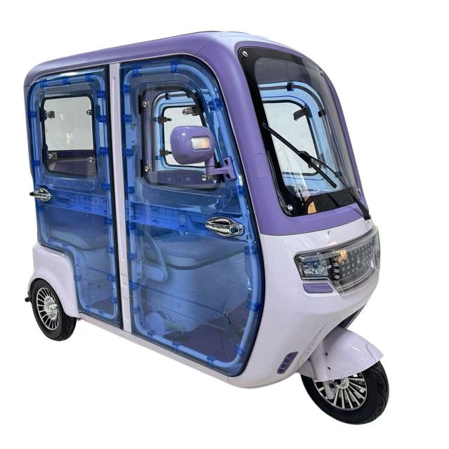 Fully Enclosed Electric Tricycle 1000 W Motor Reversing Camera Front Disc Brake Coil Spring Suspension Luxury Cabin E Trike