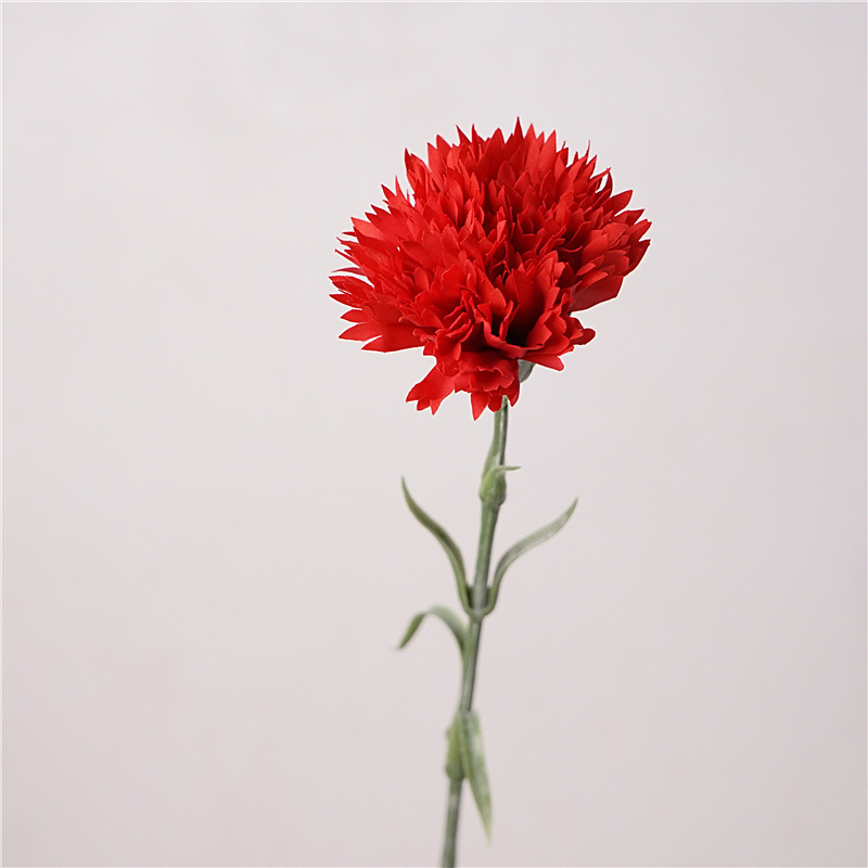 Feel carnation-red