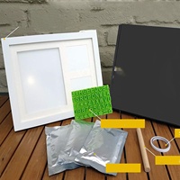 Kit Cadre Photo Souvenir Écologique en Bois Premium pour Empreintes de Pattes de Chien et de Chat avec Moule en Argile et Pochoir - Cadeau Commémoratif Tendance (Blanc)